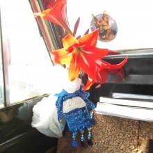 Ayman’s flowers – thank you!