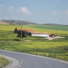 DSCF4953