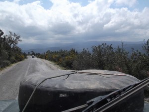 DSCF5379
