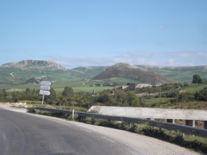 DSCF5482