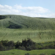 DSCF5496