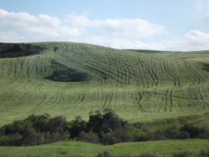 DSCF5496