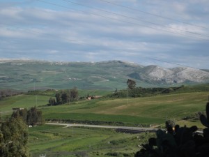 DSCF5502