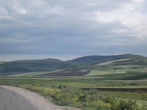 DSCF5511