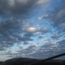 DSCF5544