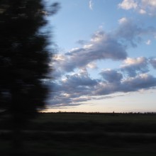 DSCF5547