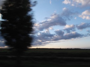 DSCF5547