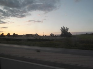 DSCF5551