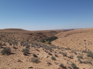 2014_0429KM