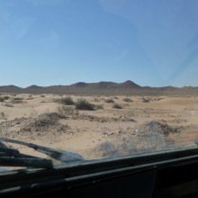 P1000321
