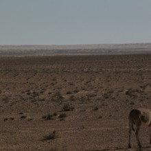 P1000353