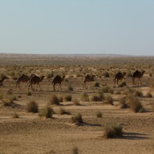 P1000399