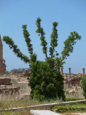 P1000456