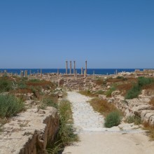 P1000461