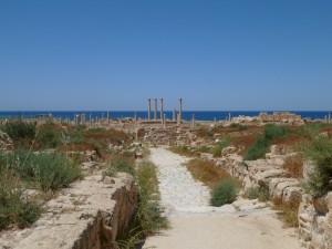 P1000461