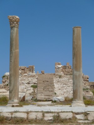 P1000466