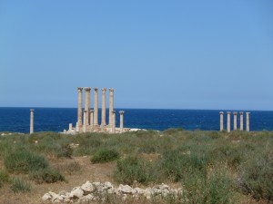 P1000516