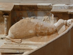 P1000533
