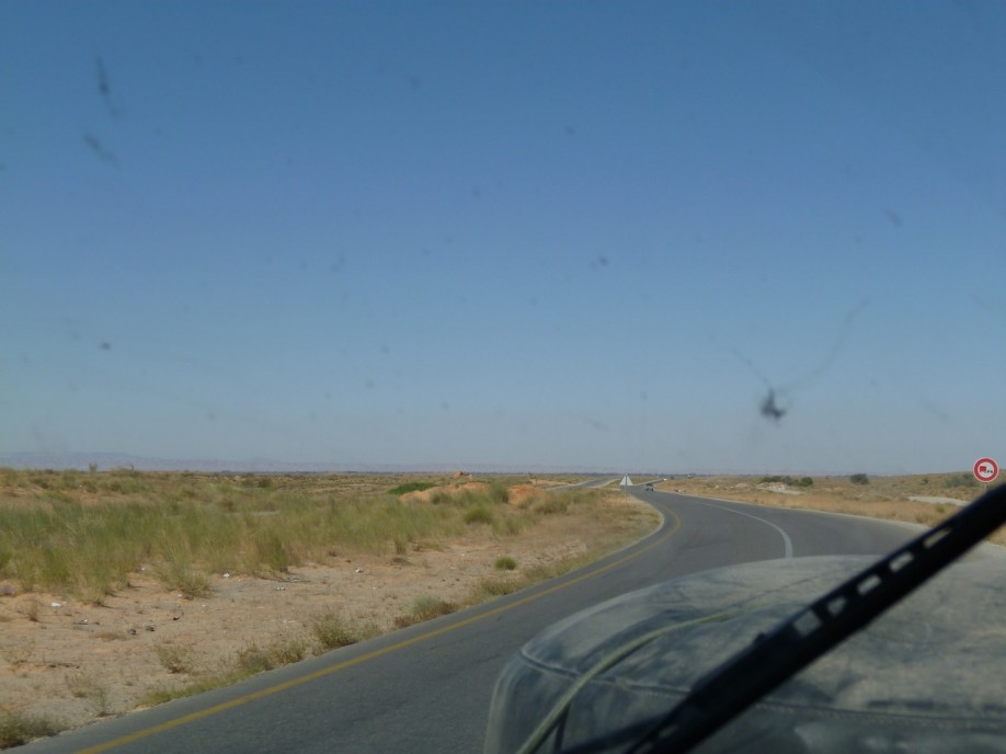 P1000956