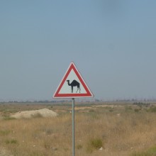 P1000959