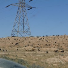 P1000983