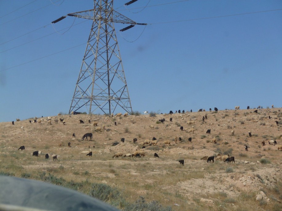 P1000983