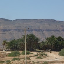 P1010007