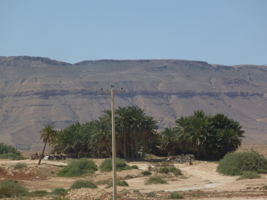 P1010007