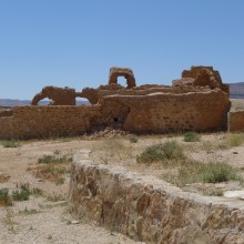 P1010011