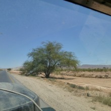 P1010038