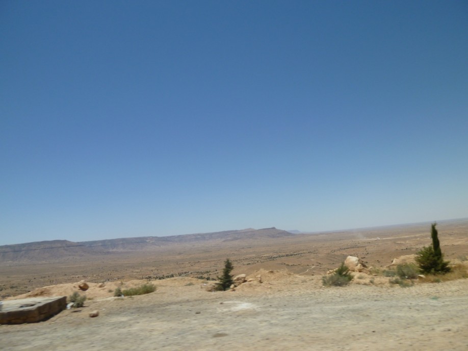 P1010075