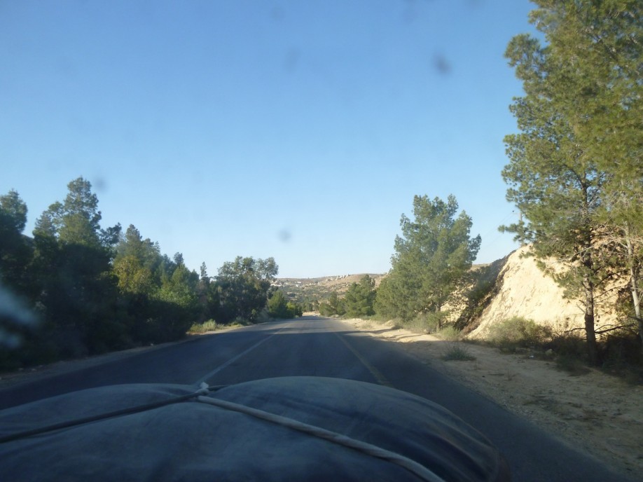 P1010218