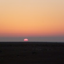 P1010704