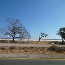 P1010868