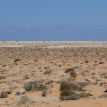 P1010977