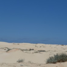 P1020002
