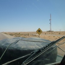 P1020014