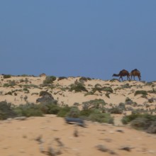 P1020029