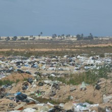 P1020033