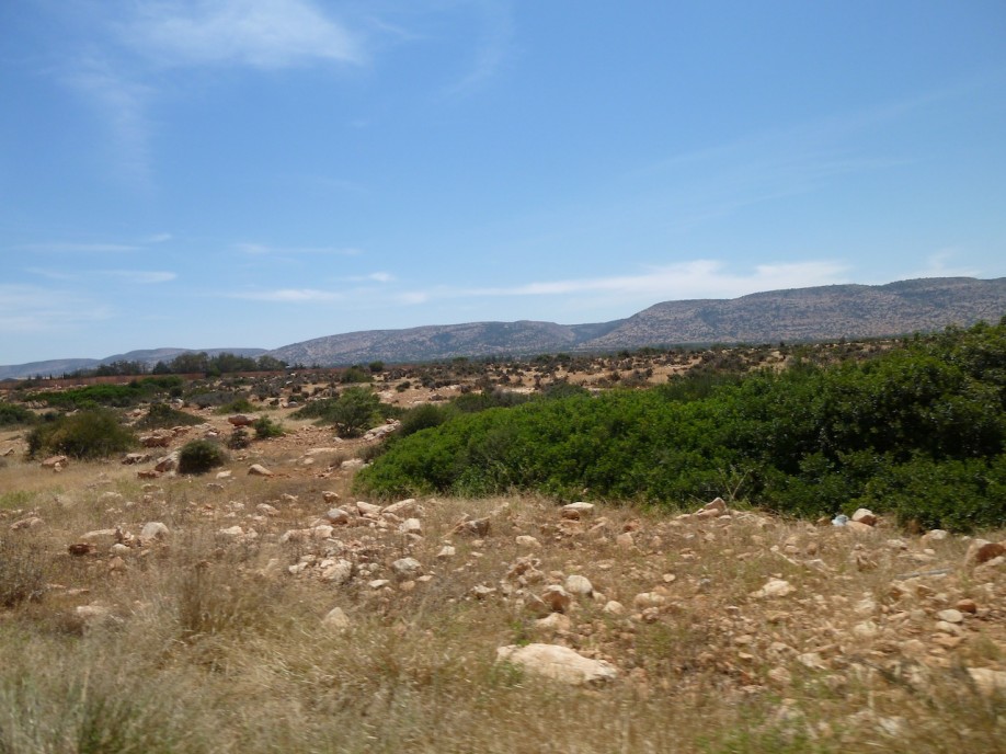 P1020251