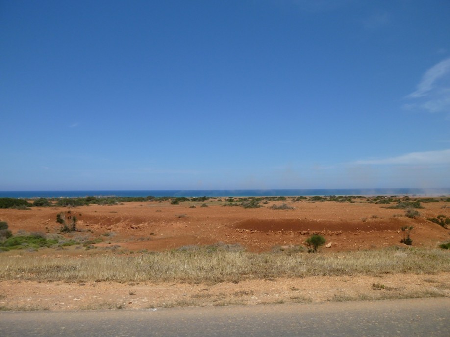 P1020258