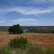 P1020354