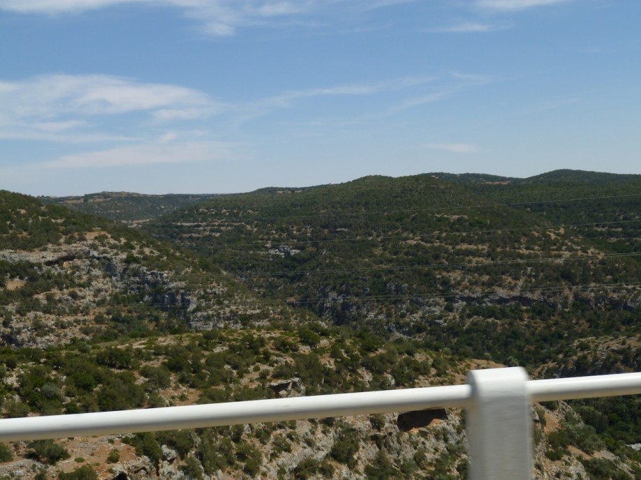 P1020364