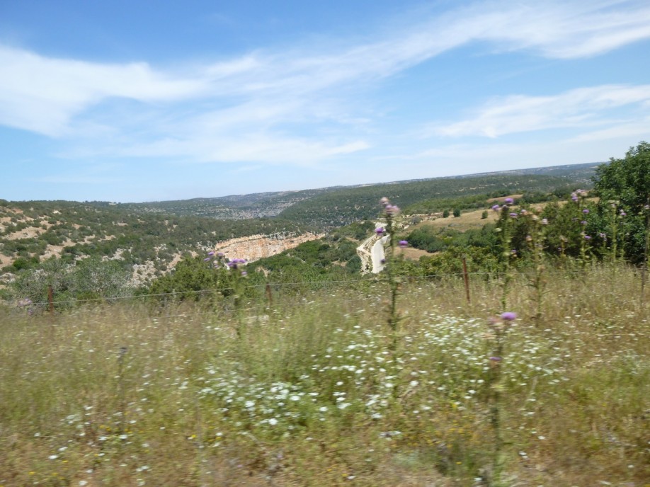 P1020371