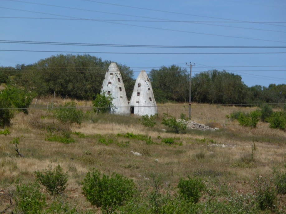 P1020384