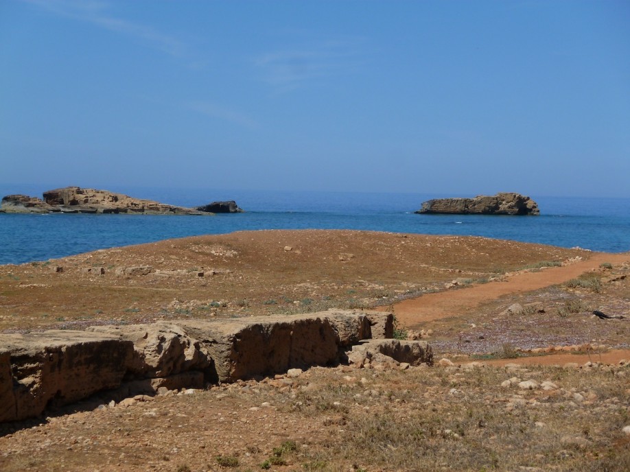 P1020650