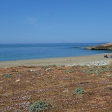 P1020698