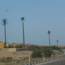 P1030186