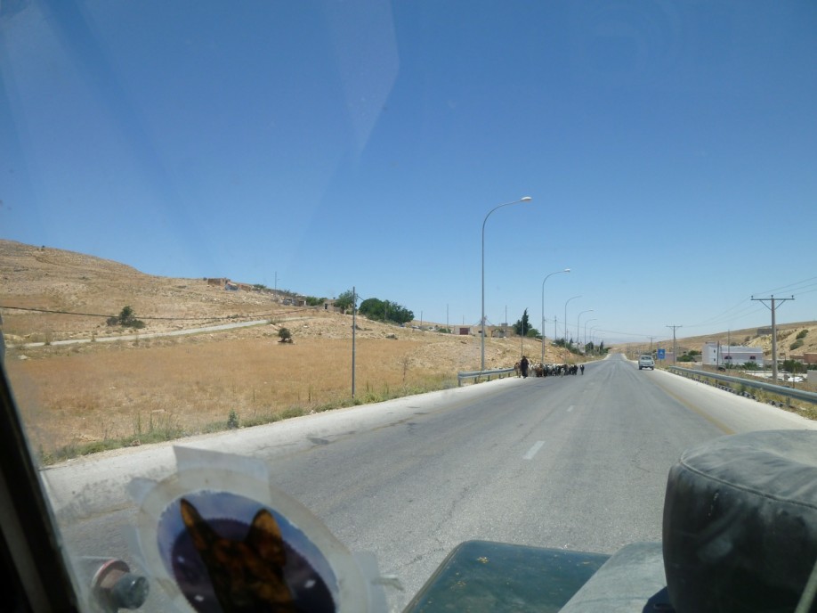 P1000096