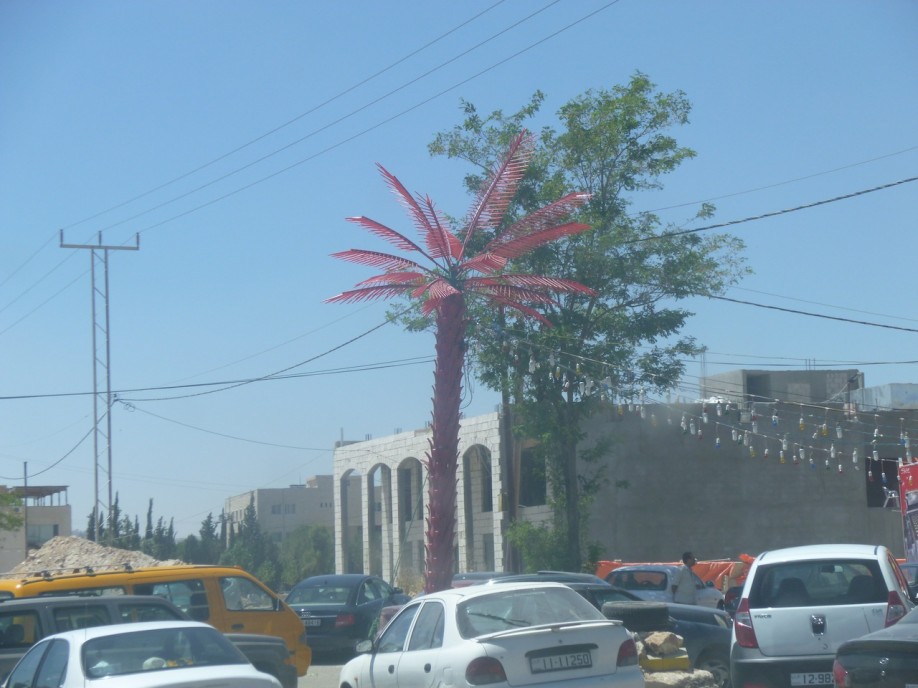 P1000338